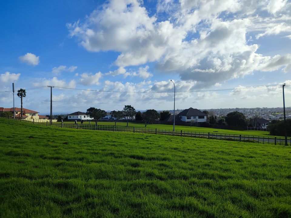 A grassy hillside above houses under a blue sky
