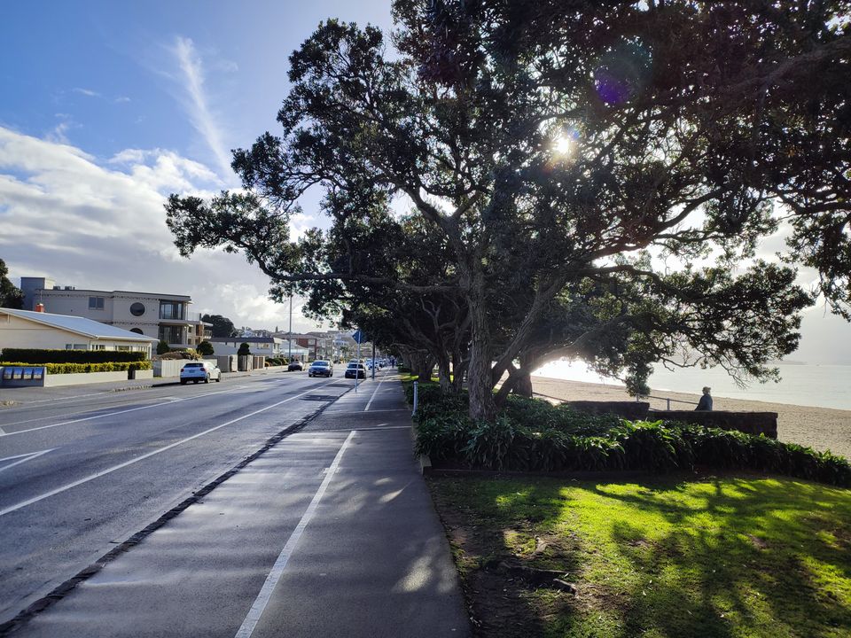 Sunlight through trees along a seaside footpath