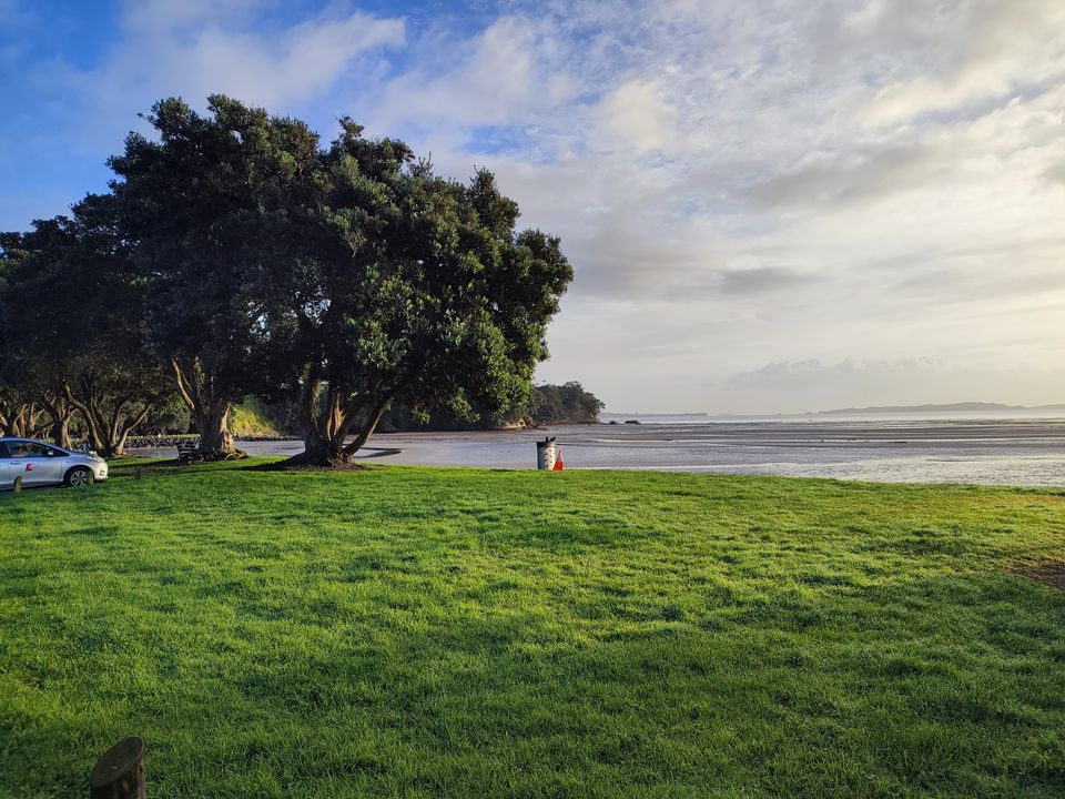 A quiet shoreline and trees at low tide